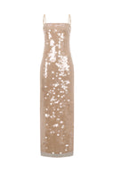 Golden Dust Dress