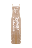 Golden Dust Dress