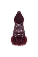 Crimson Reverie Mini Dress back view